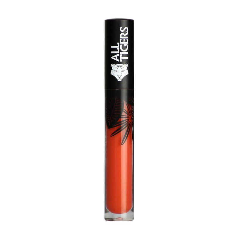 Rouge à Lèvres Liquide