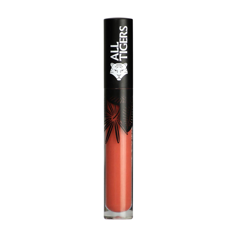 Rouge à Lèvres Liquide