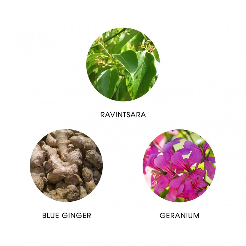 WAKA MADAGASCAR - Eau de Parfum - Recharge 11ml