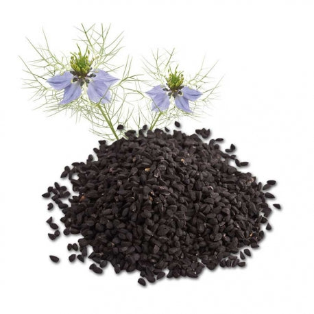 Savon Bio n°2 - Le régulateur "Charbon et NIgelle"