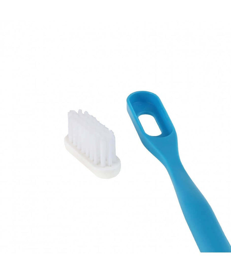 Recharge 3 têtes de brosse à dents souple